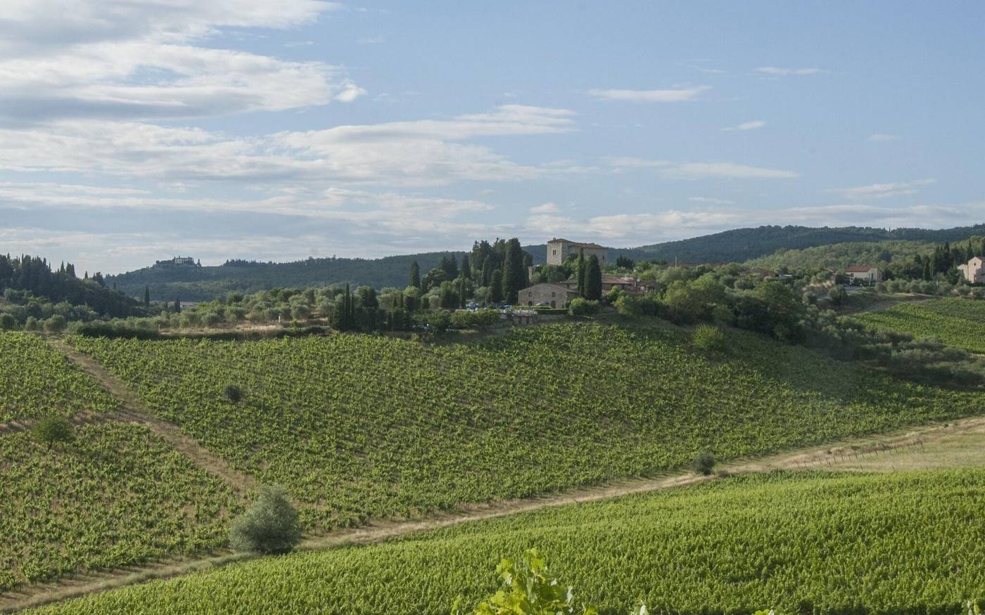 Belvedere-Di-San-Leonino-Sports-and-Entertainment-67