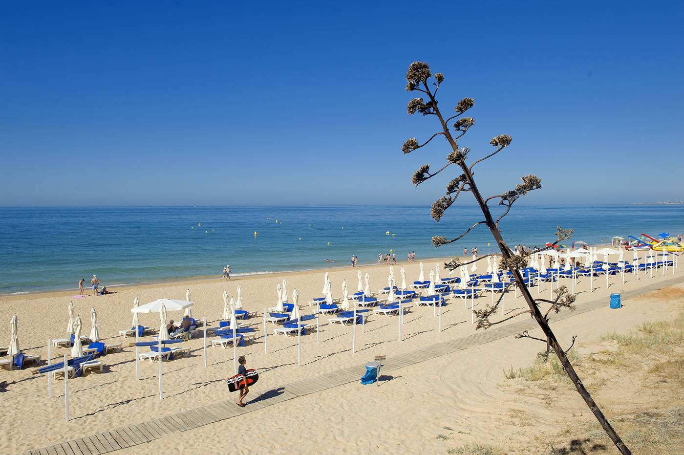 Luna-Miramar-Beach-58