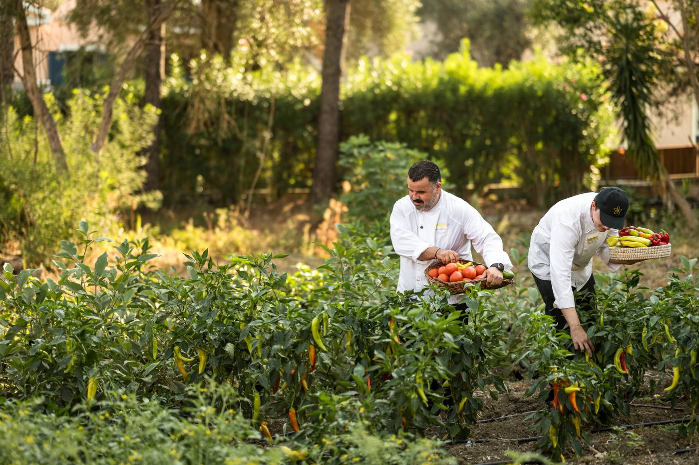 Sentido Apollo Palace
