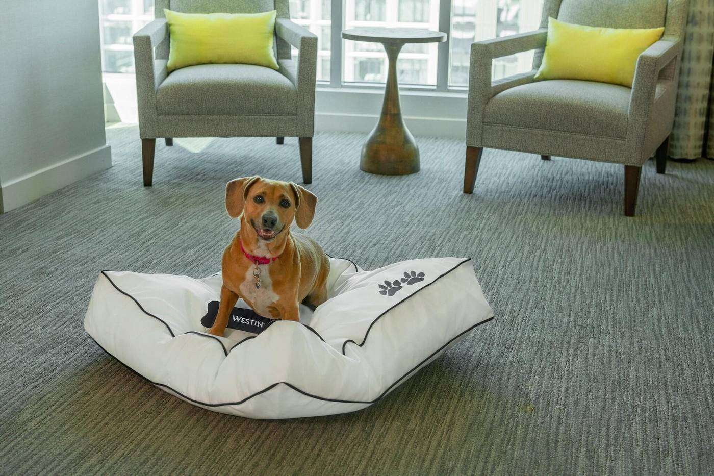 Westin-Boston-Waterfront-General-view-48