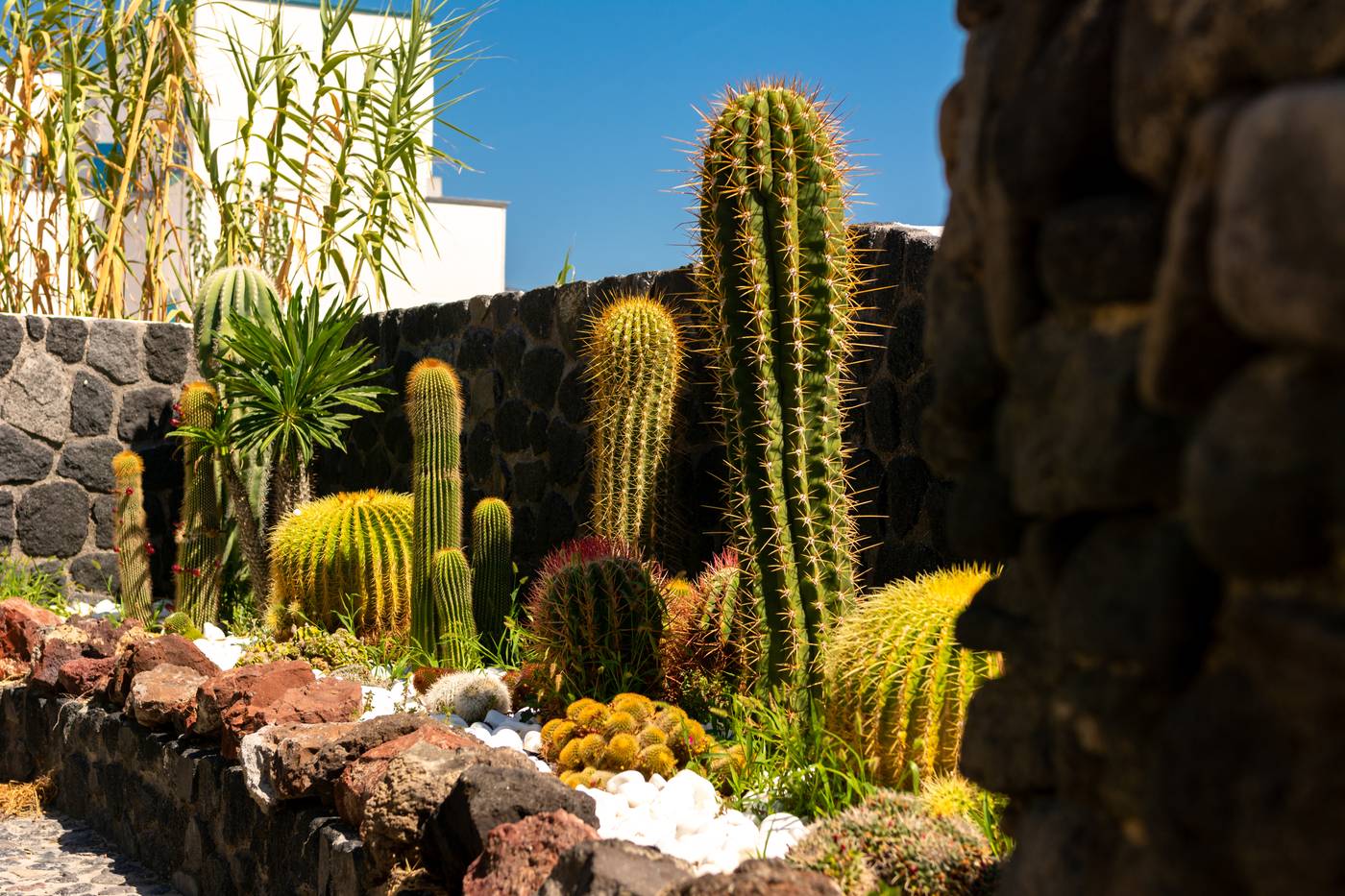 Andreas-Aparthotel-Terrace-13