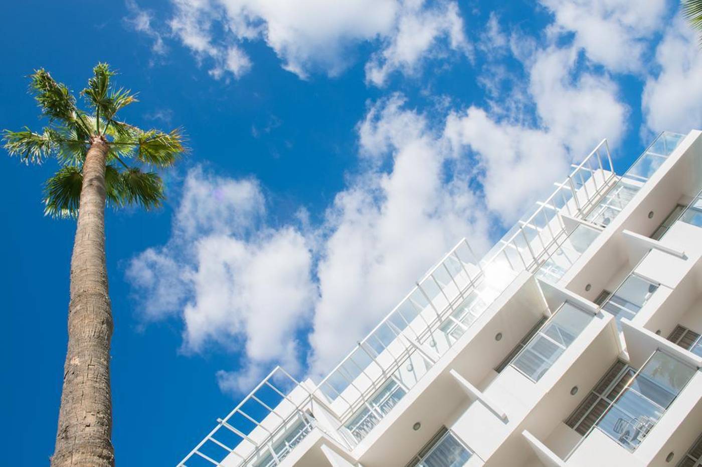 El-Palmar-General-view-7