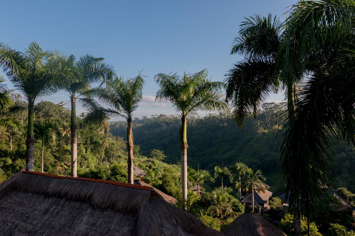 The Payogan Villa Resort & Spa-Indonesia-BALI-General view-3