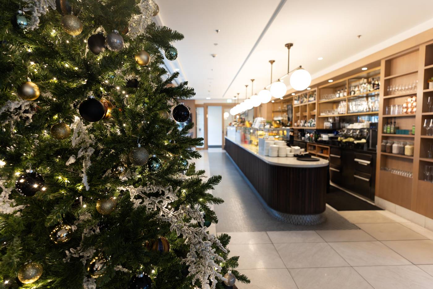 Waldorf-Astoria-Berlin-General-view-32