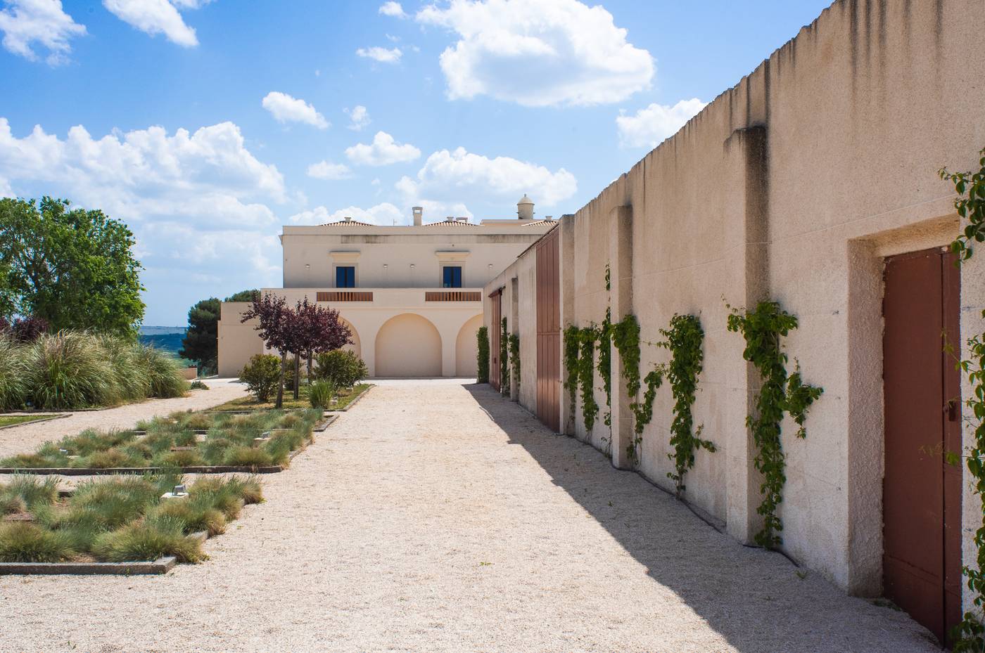 Masseria Fontana Di Vite-Italy-BORGO VENUSIO, MATERA-General view-3