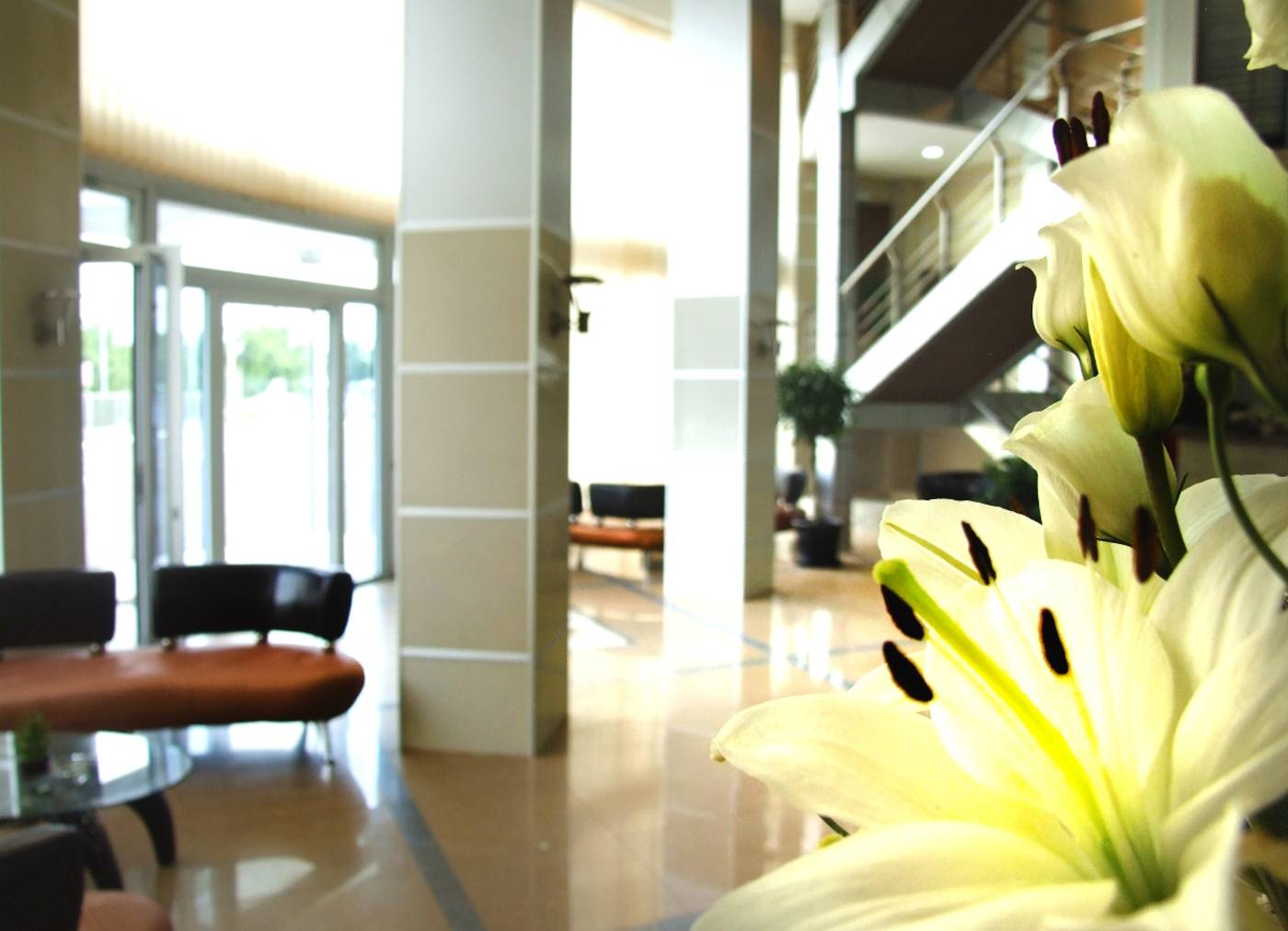Hotel Zeder Garni-Serbia-BELGRADE-Lobby-8