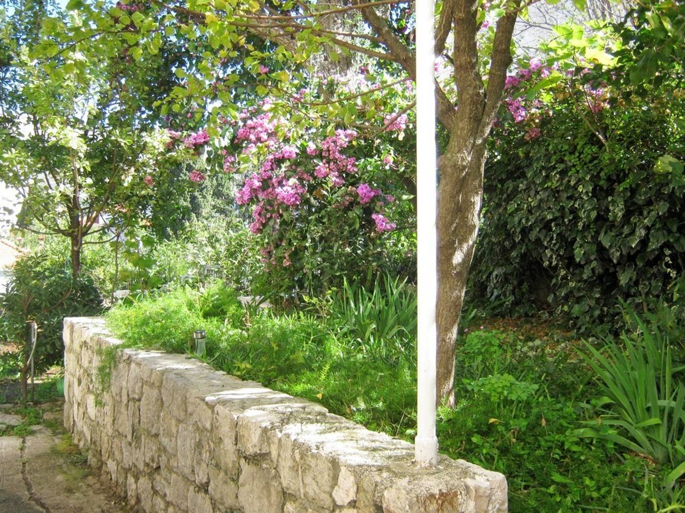 Apartments-Ivica-Lobby-4