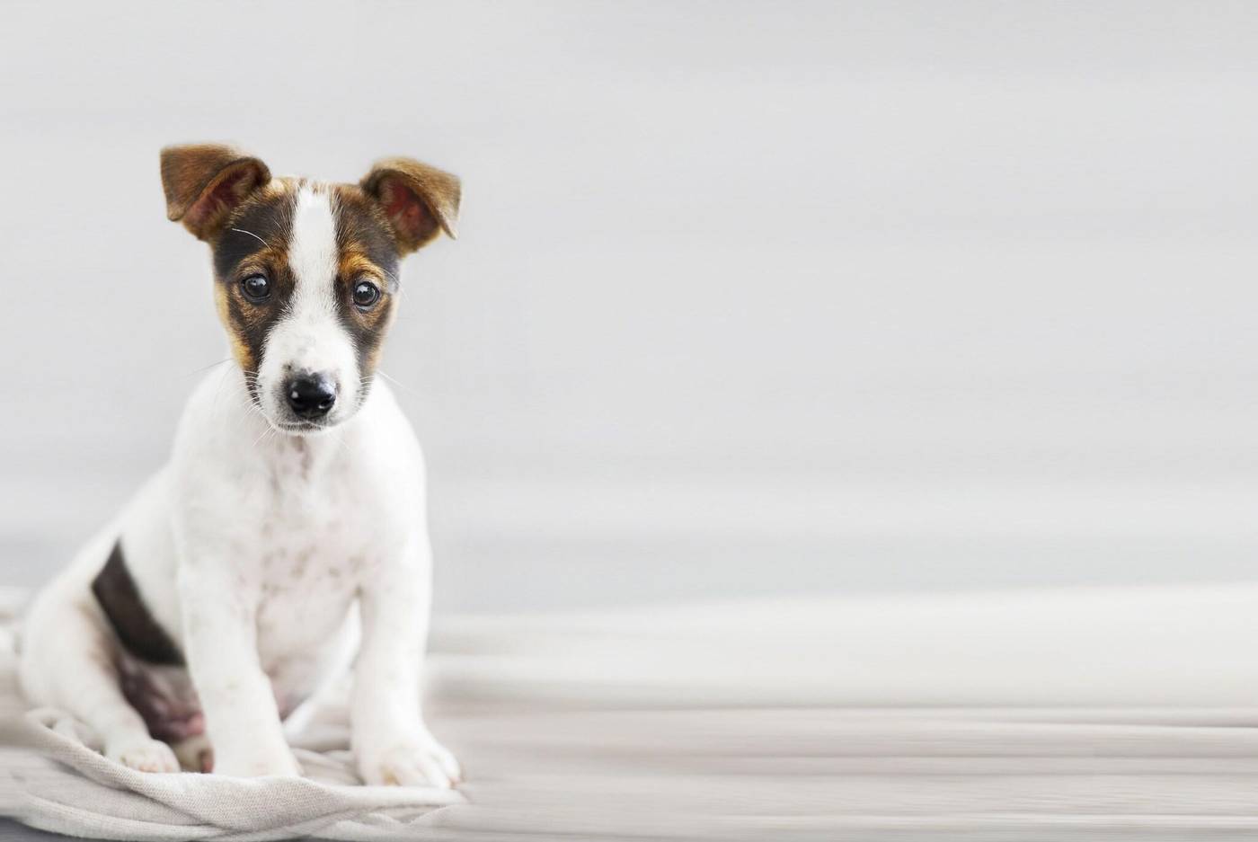 Hyatt House Dallas/Lincoln Park-United States-Dallas-General view-2