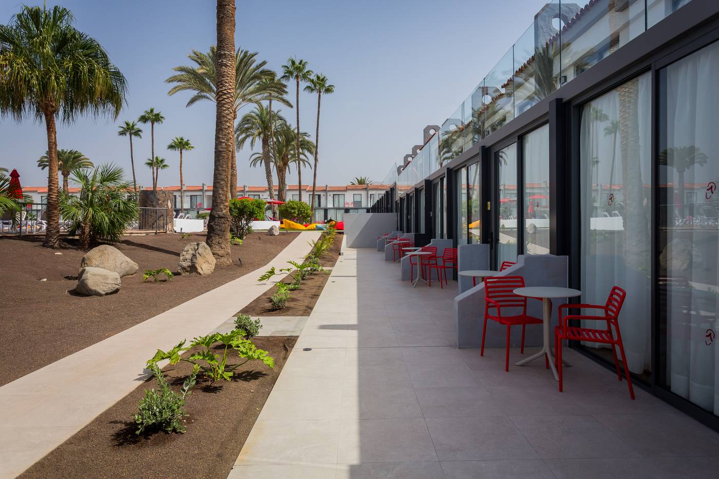 11.11.25 Sholeo Los Gigantes