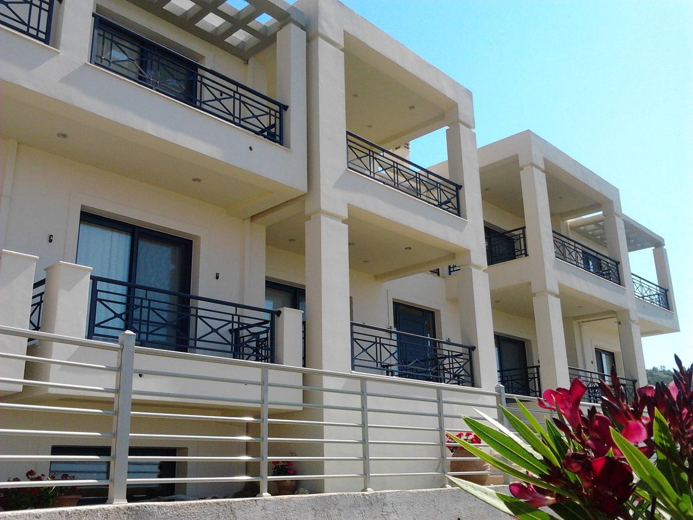 Sugar---Almond--General-view-1