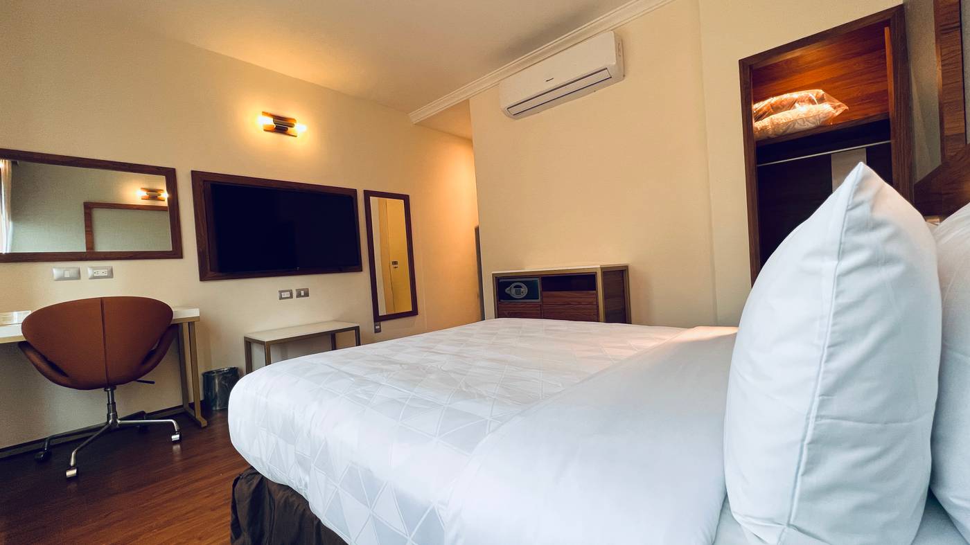 Ritz-Mexico-Ciudad De Mexico-Room-8