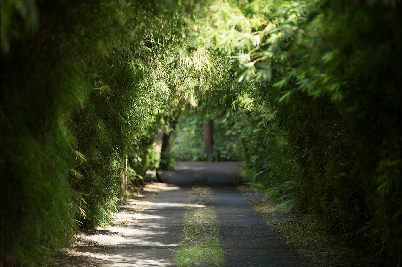 The Pavilions Bali-Indonesia-SANUR-General view-2