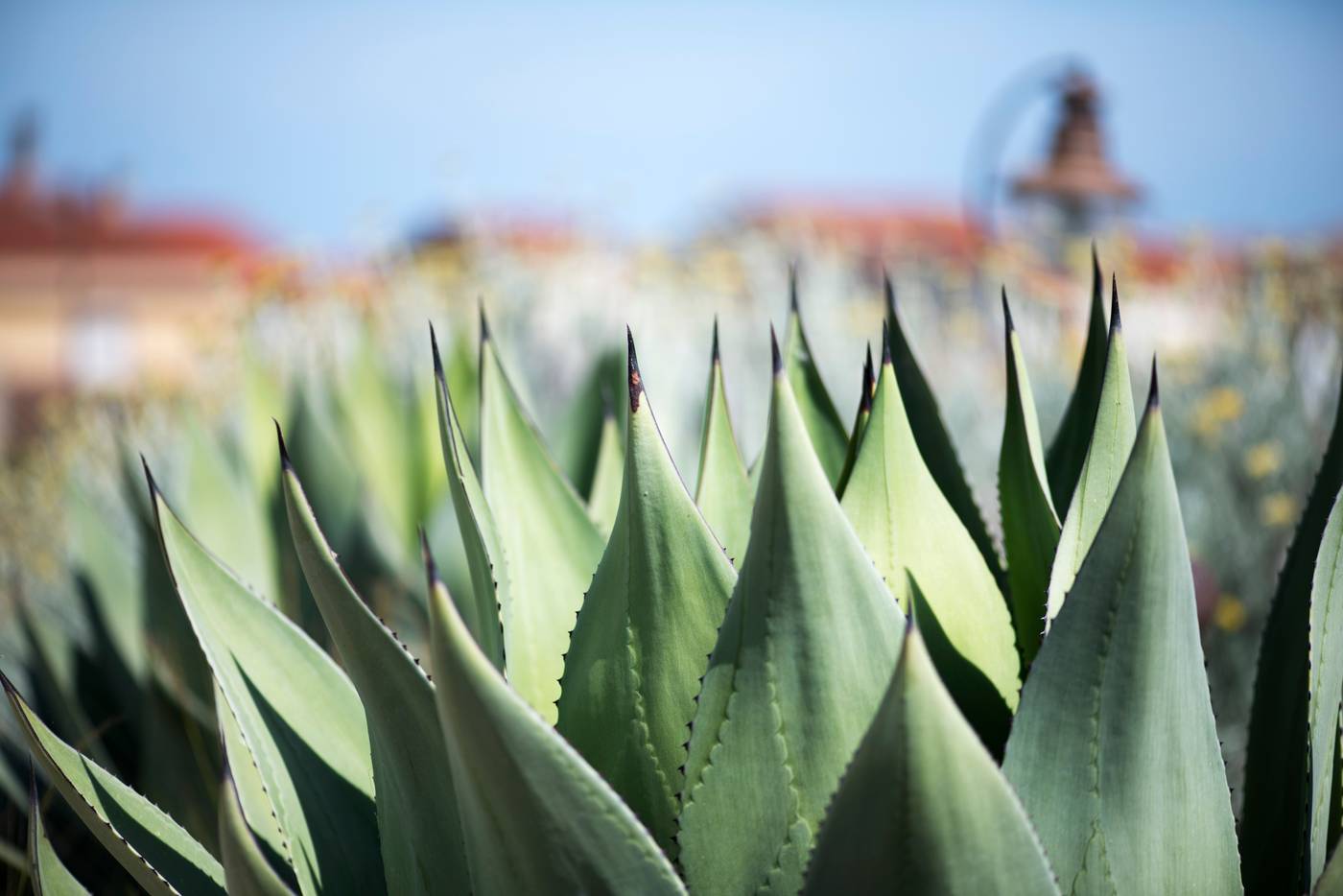 Aquae-Sinis-Albergo-Diffuso-Terrace-19