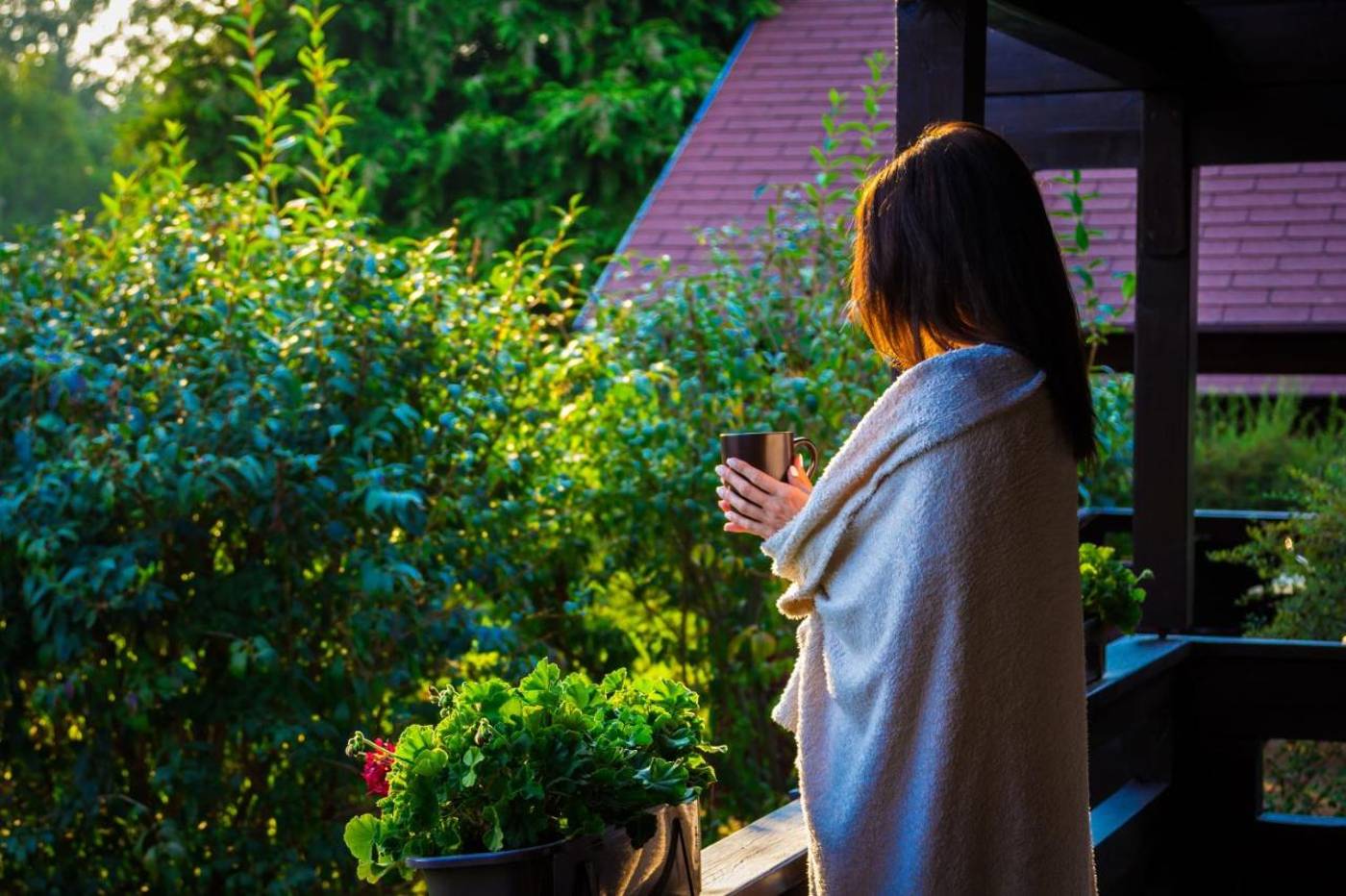 Petnehazy-Aparthotel-General-view-46