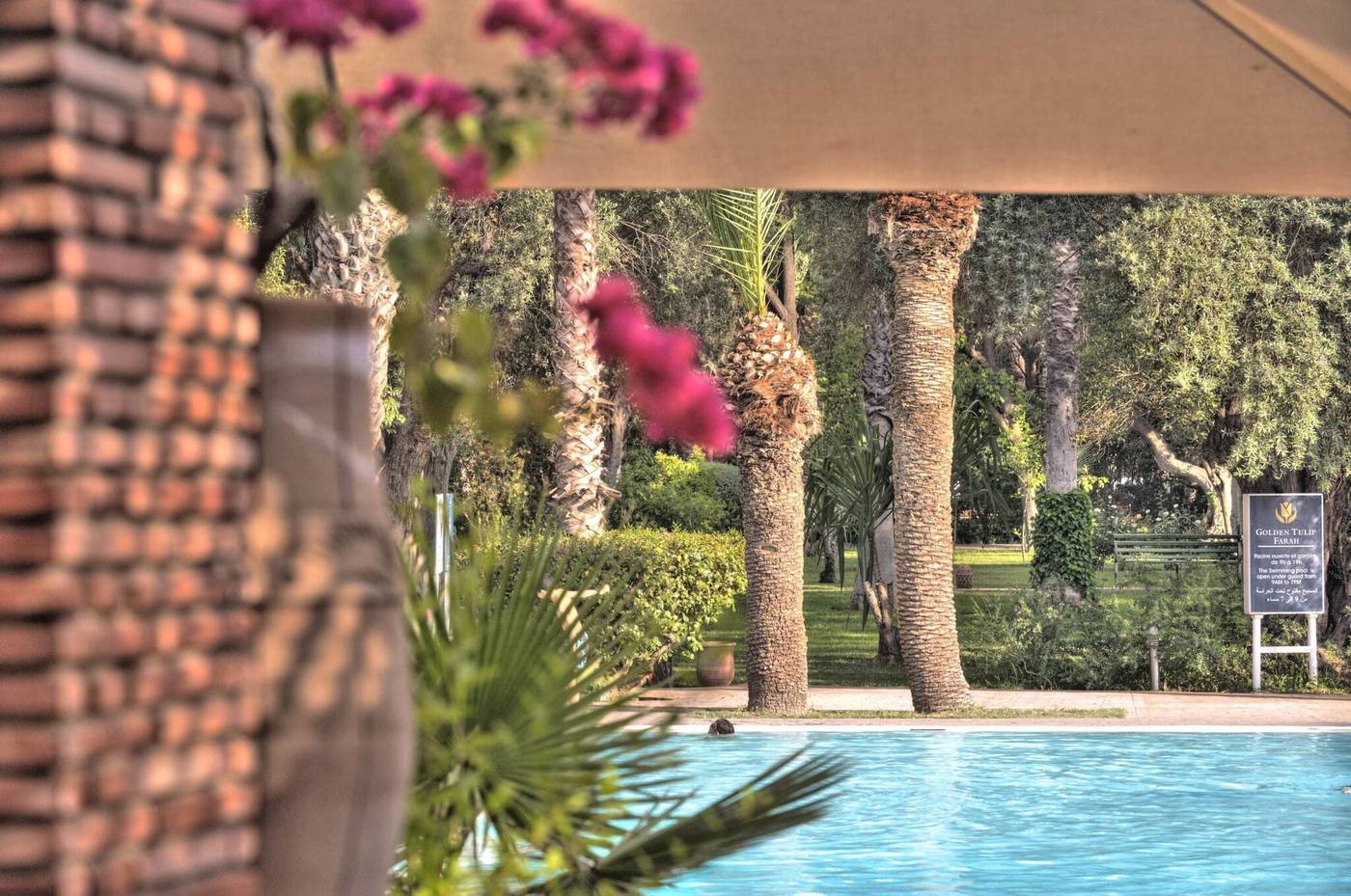 Farah-Marrakech-Pool-13