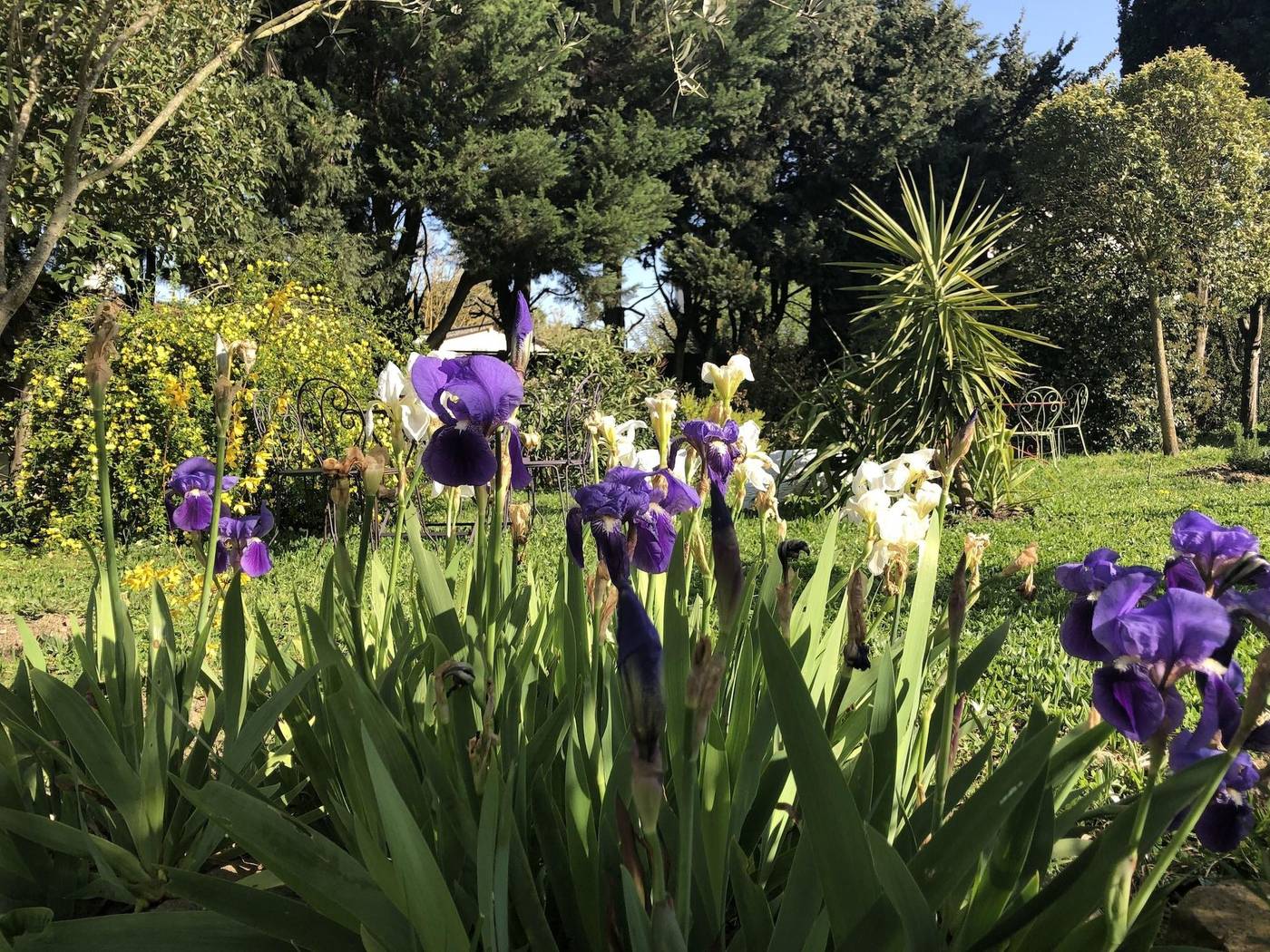 Aux Belles Vacances B B Only Adults-France-Caux-et-Sauzens-General view-8