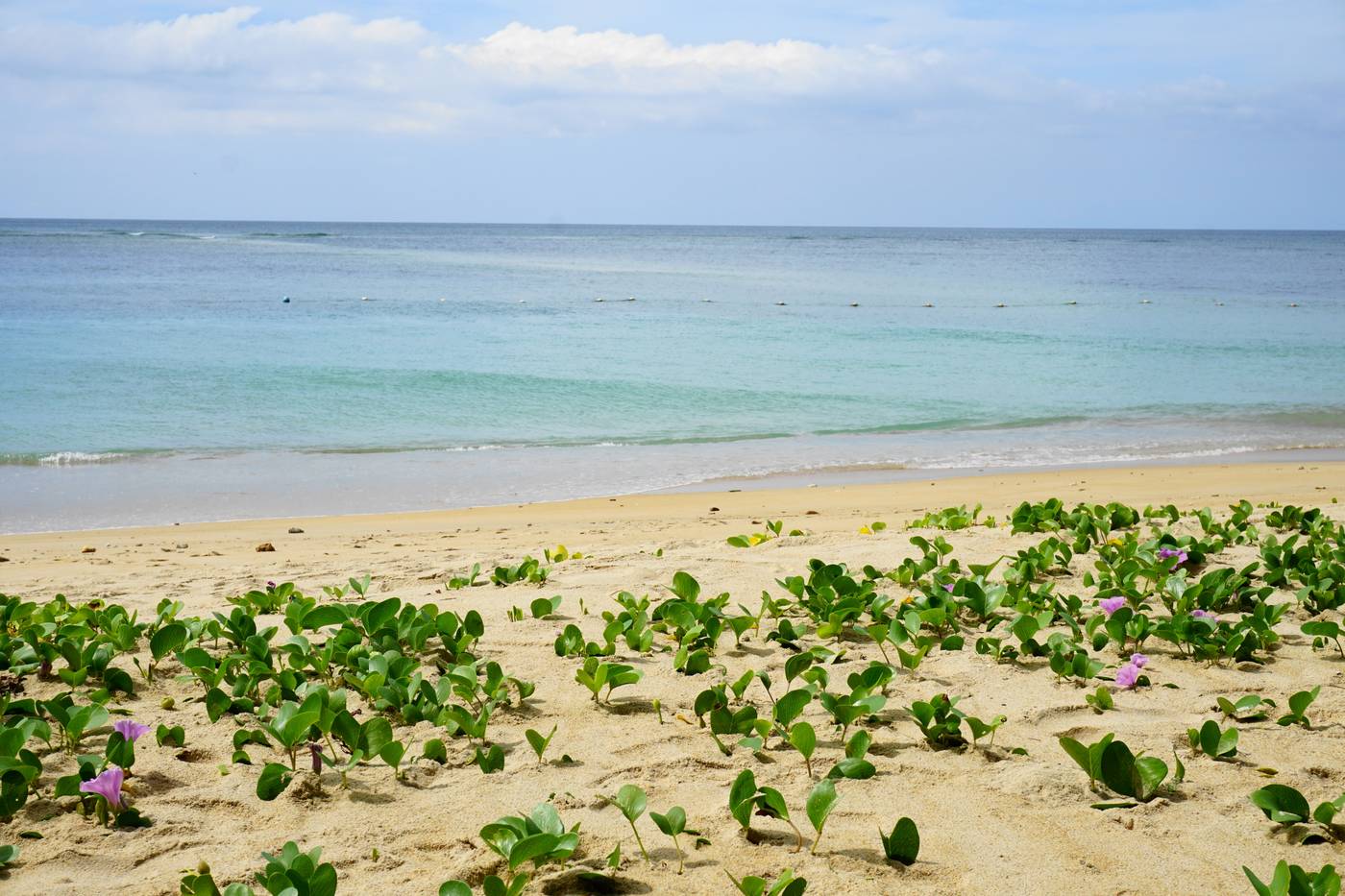 Dewa-Phuket-Beach-75