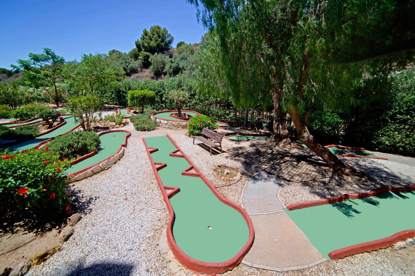 Holiday-World-RIWO-Sports-and-Entertainment-14