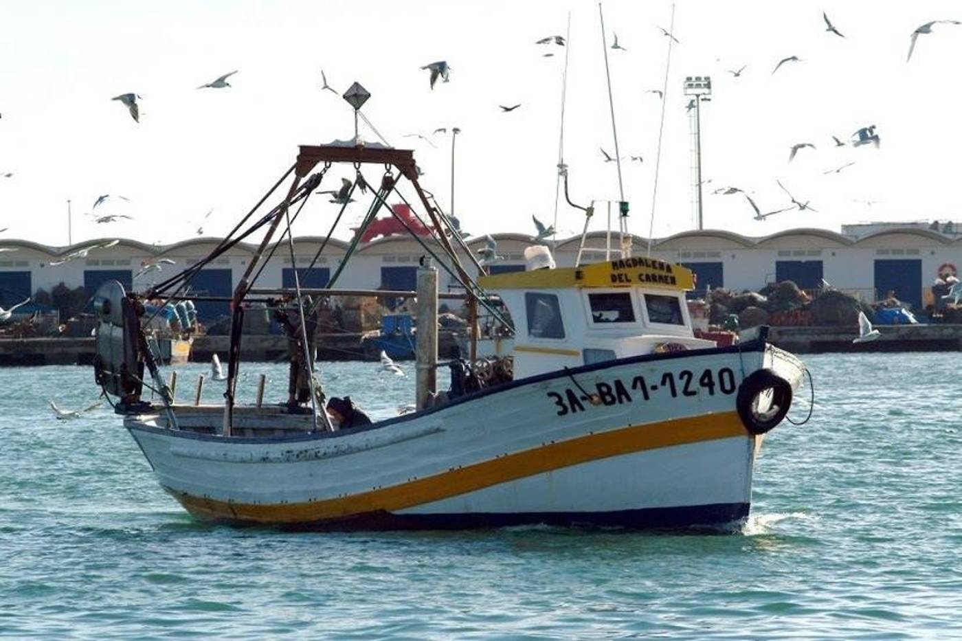 Cesar-General-view-18