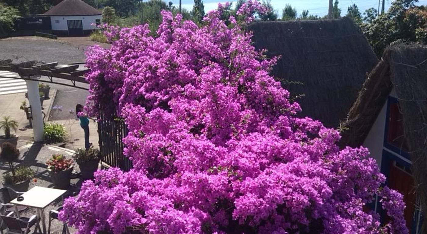 Cabanas-de-S----o-Jorge-Village-Room-7