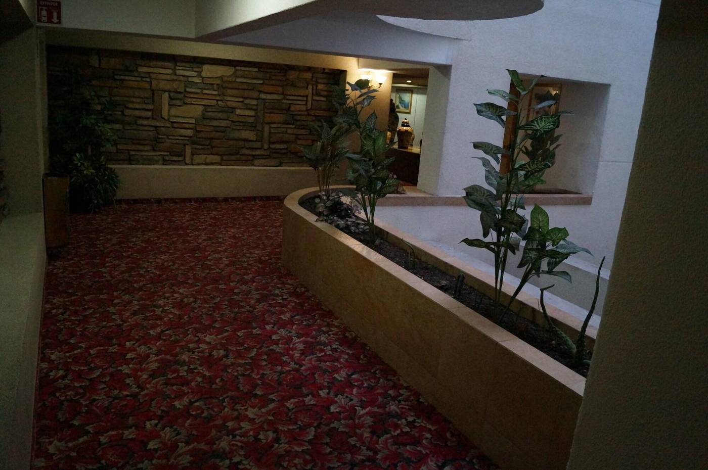 Hotel Villa de Madrid-Mexico-CIUDAD DE MÉXICO-Lobby-7