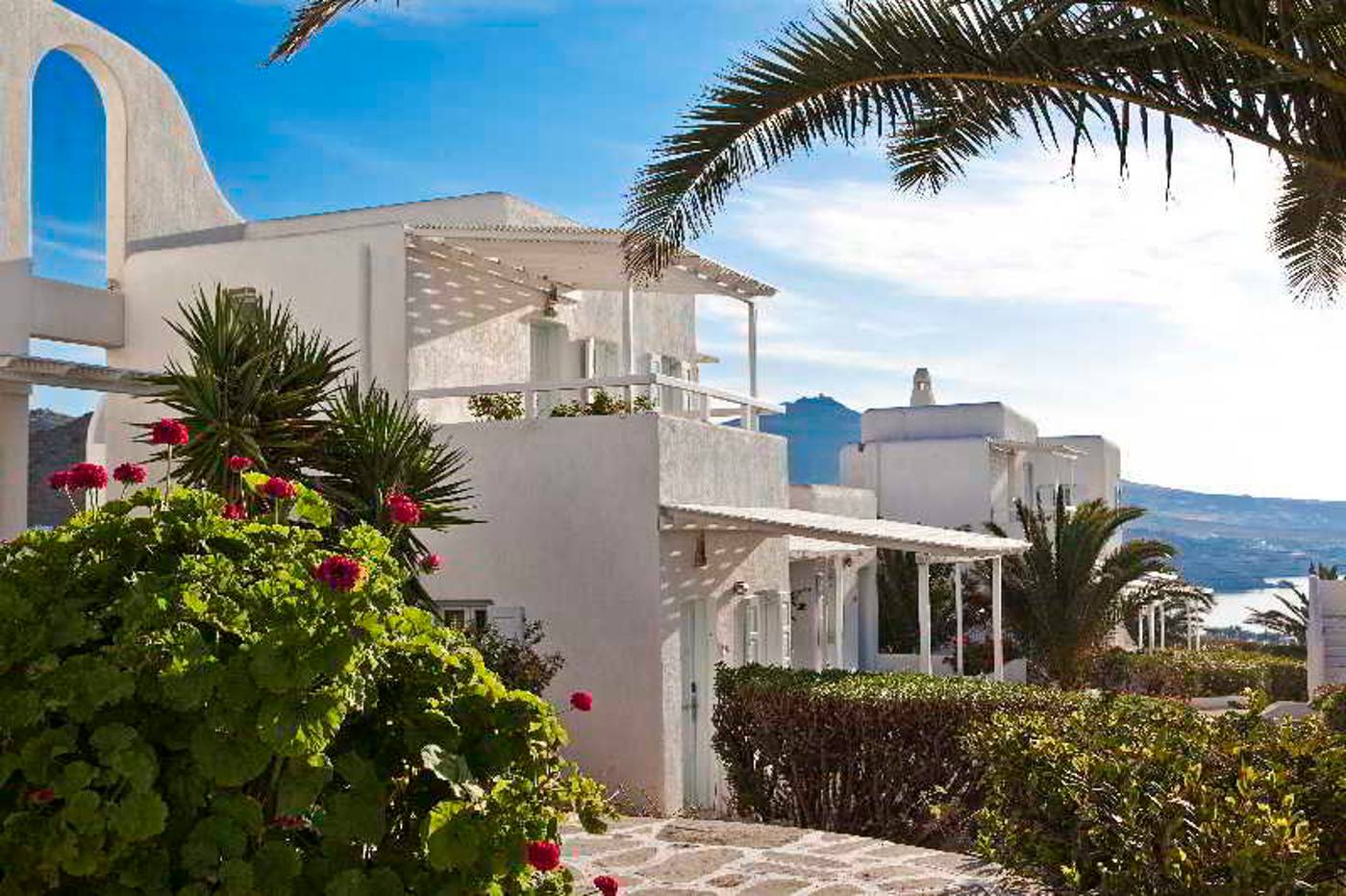 Anemoessa-General-view-8