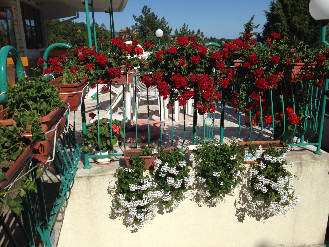 Hotel-Zora-Restaurant-10