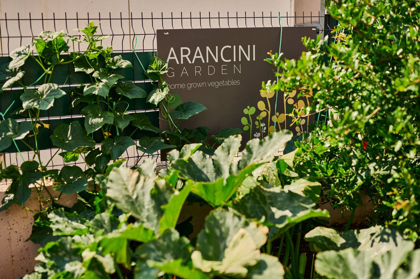 Arancini-Residence-General-view-63
