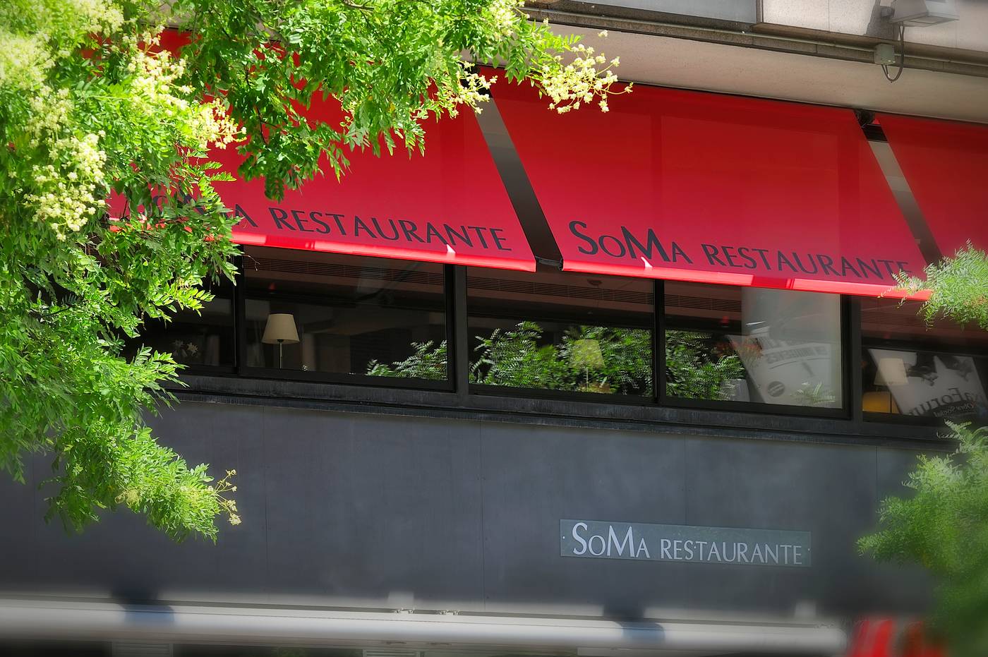 Vincci-Soma-General-view-56