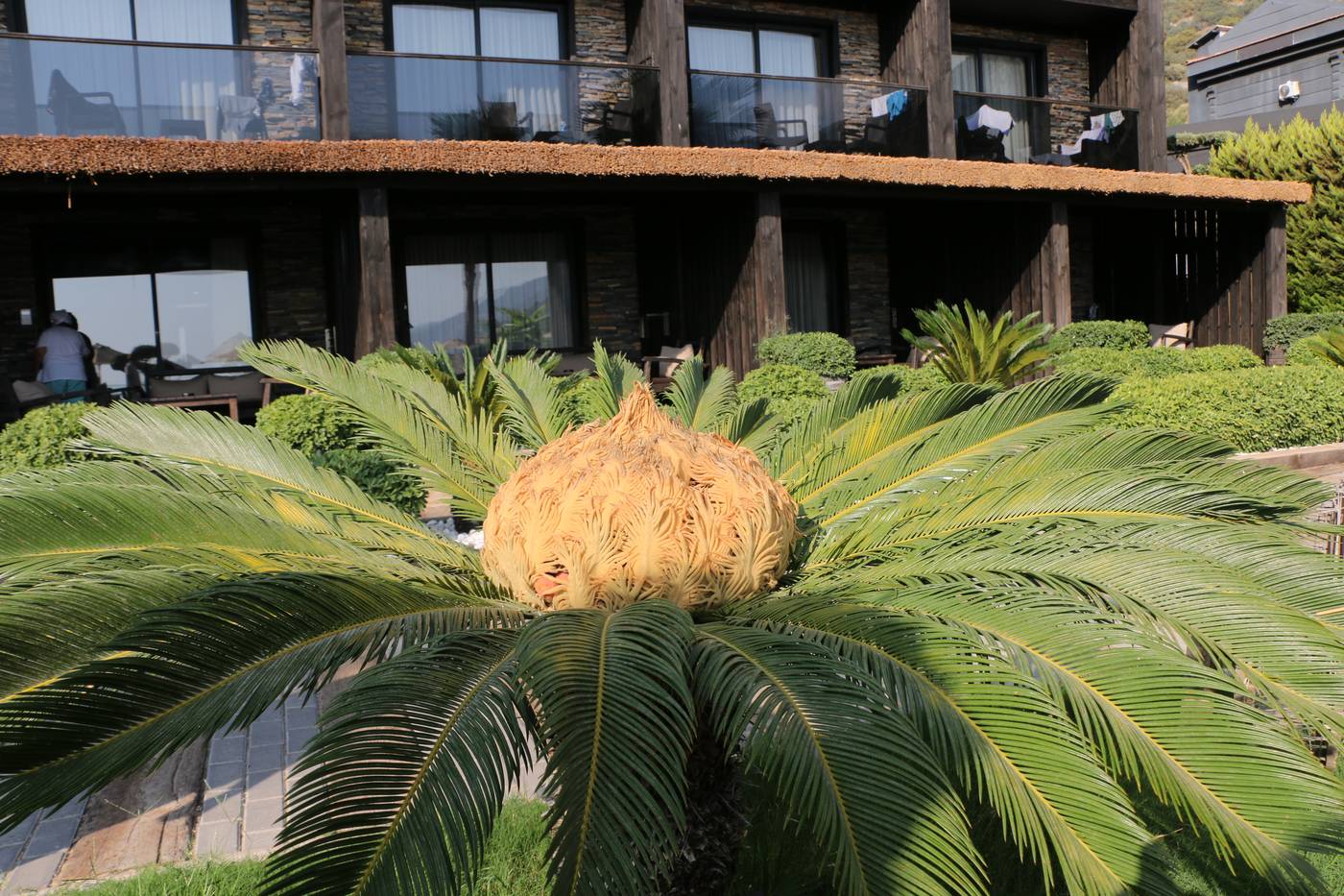 Manaspark-Deluxe-Hotel-General-view-20