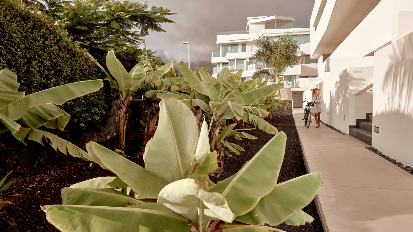 Baobab-Suites-General-view-19