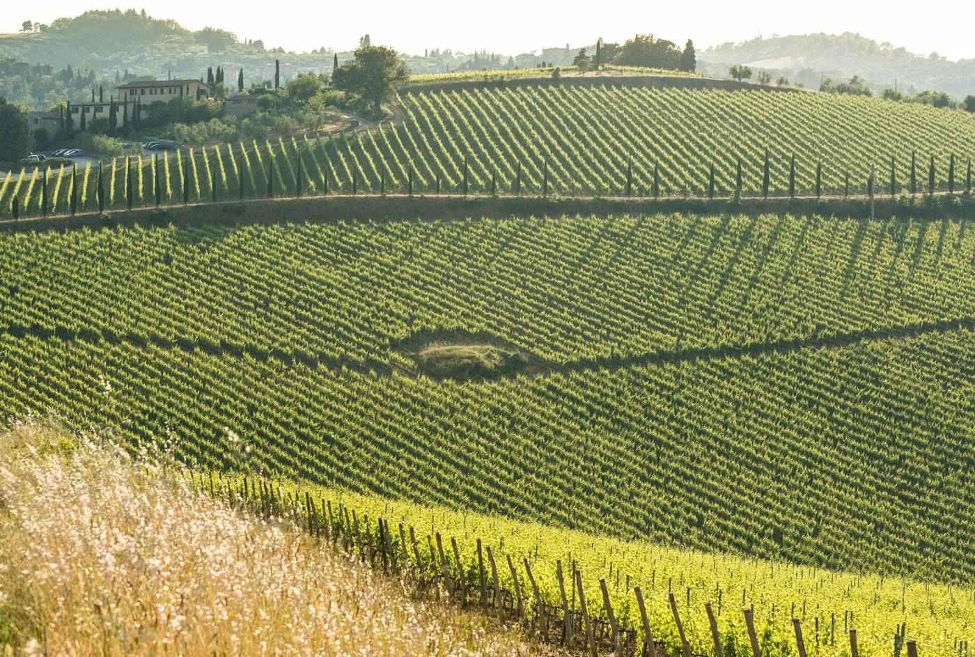 Eh-Villa-Dievole-General-view-63