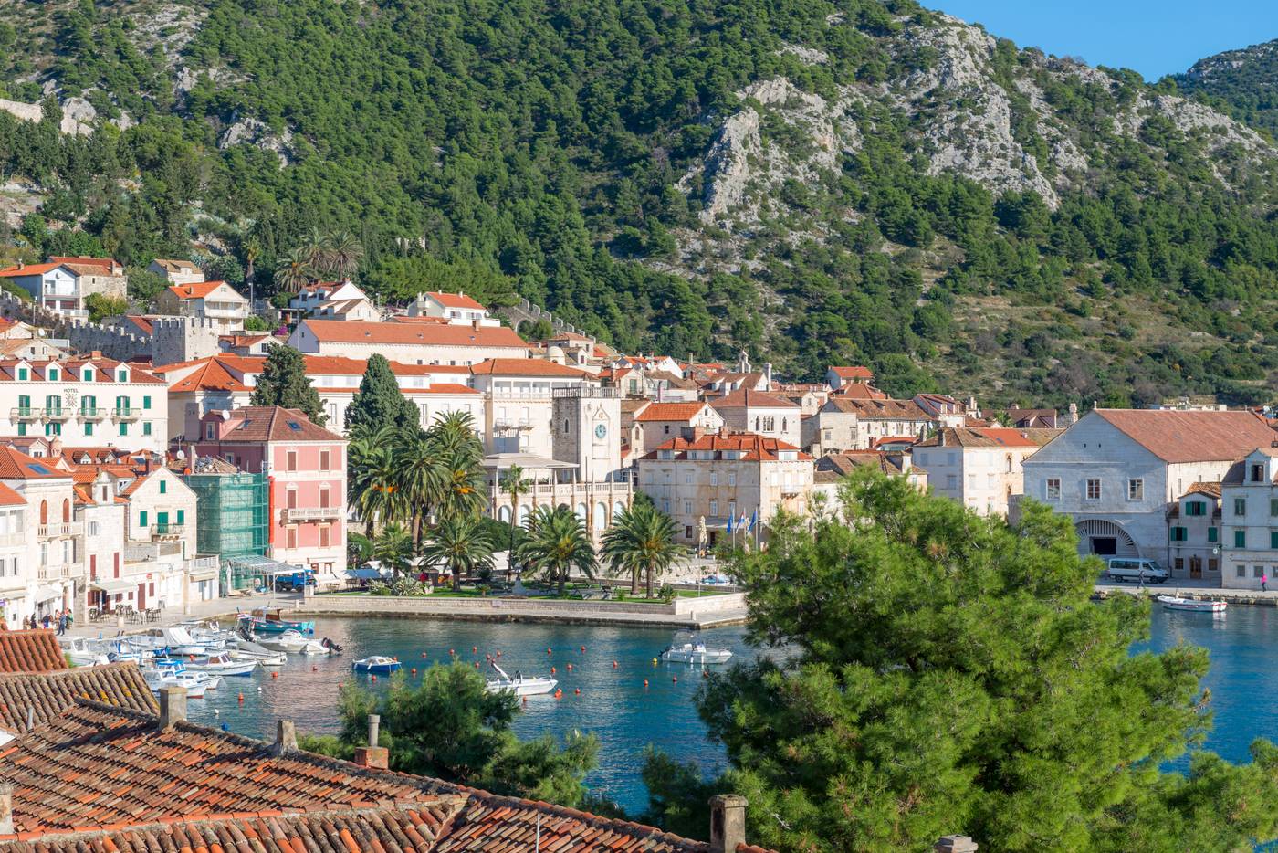 Delfin-Hvar-General-view-19