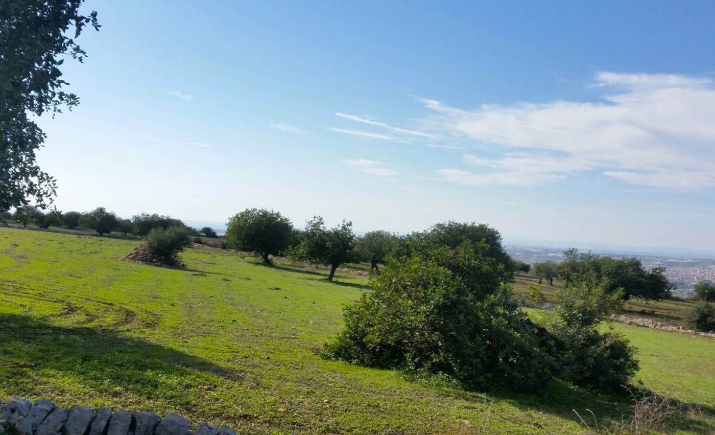 Casato Licitra-Italy-RAGUSA-General view-2