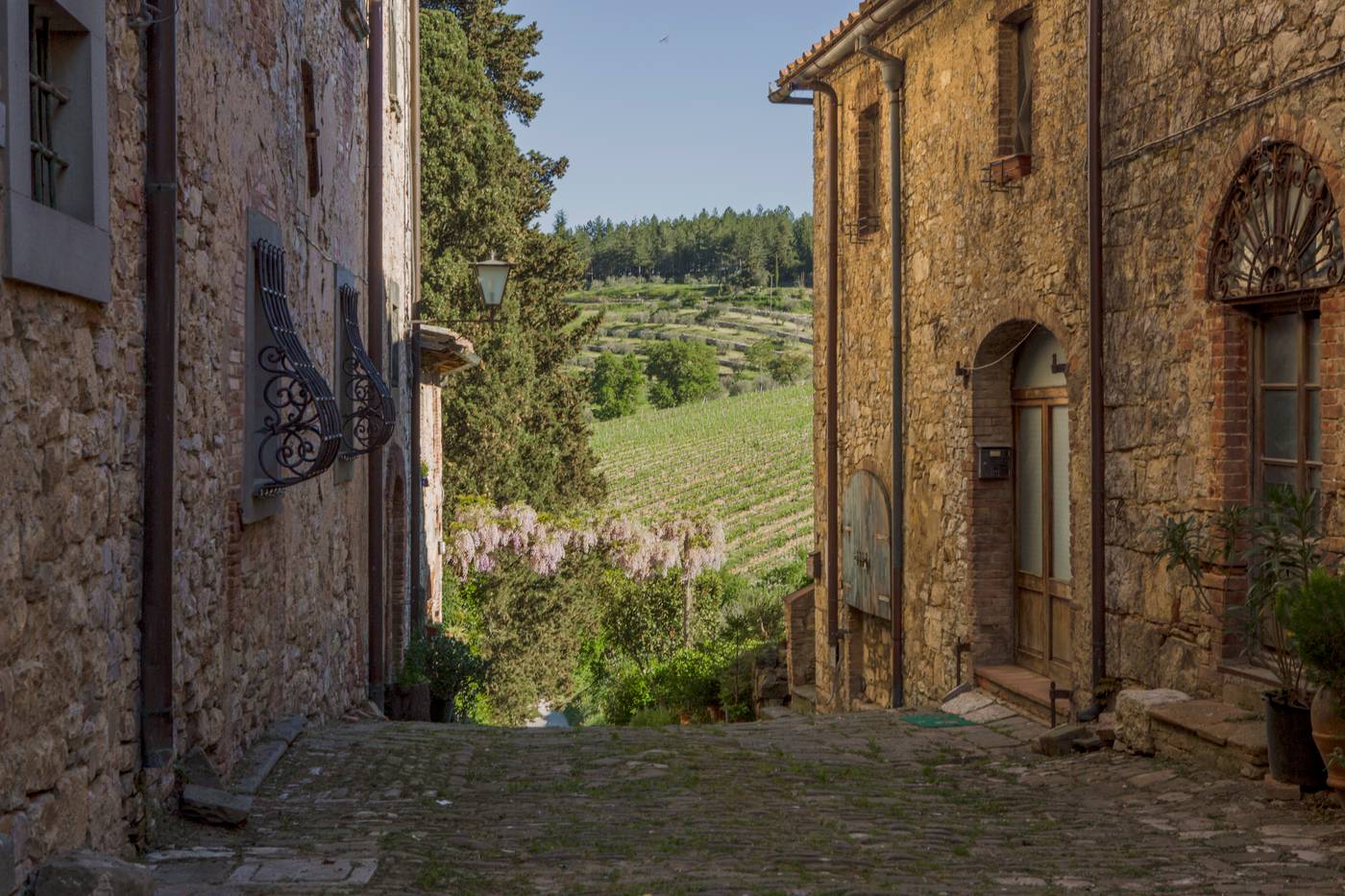 Castello di Fonterutoli-Italy-FONTERUTOLI, CASTELLINA IN CHIANTI-General view-3