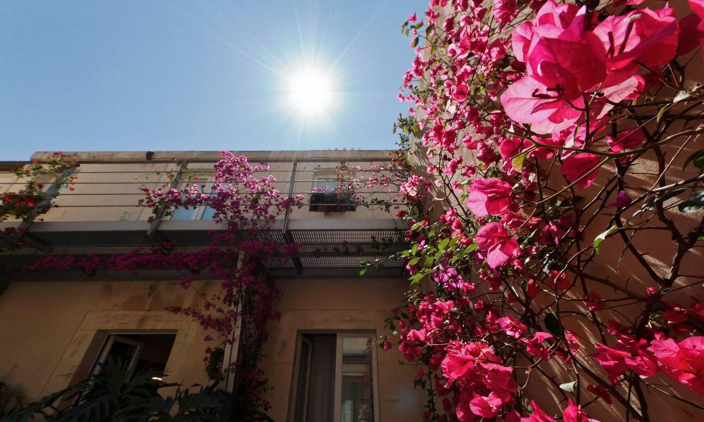 La-Moresca-General-view-6