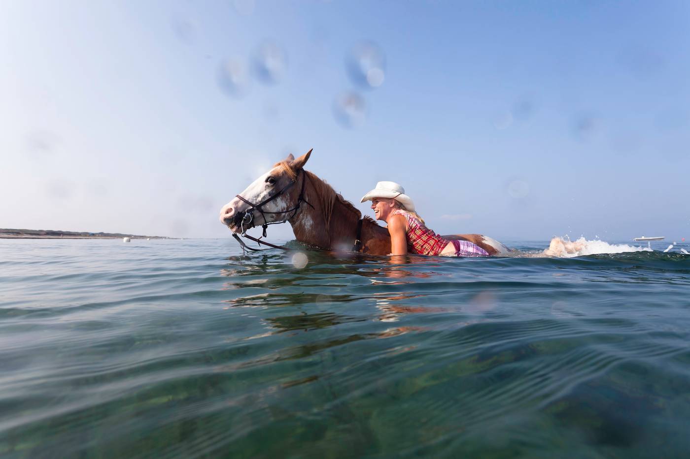 Horse-Country-Resort-Congress---Spa-Sports-and-Entertainment-42