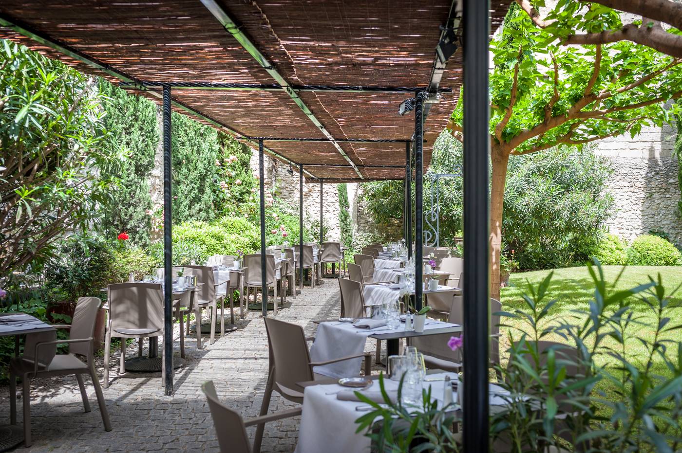 Cloitre Saint Louis-France-AVIGNON-General view-5