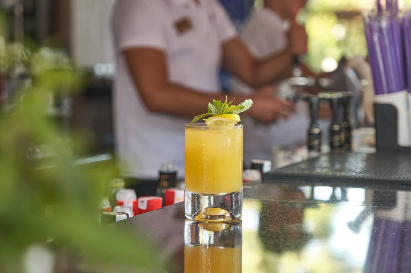 Seaden-Sea-Planet-Bar-30