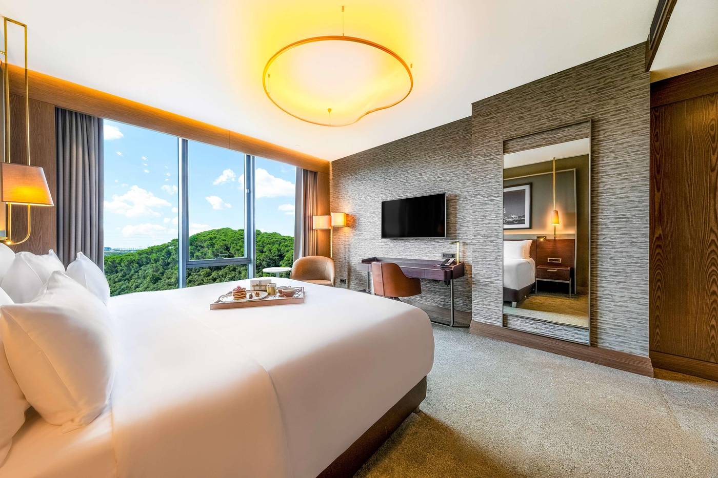 Radisson-Collection-Hotel-Vadistanbul-General-view-31