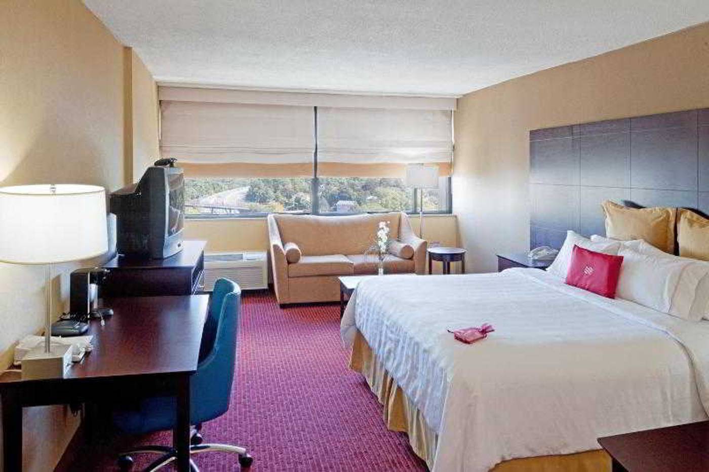 Crowne-Plaza-Boston-Newton-Hotel-Room-35