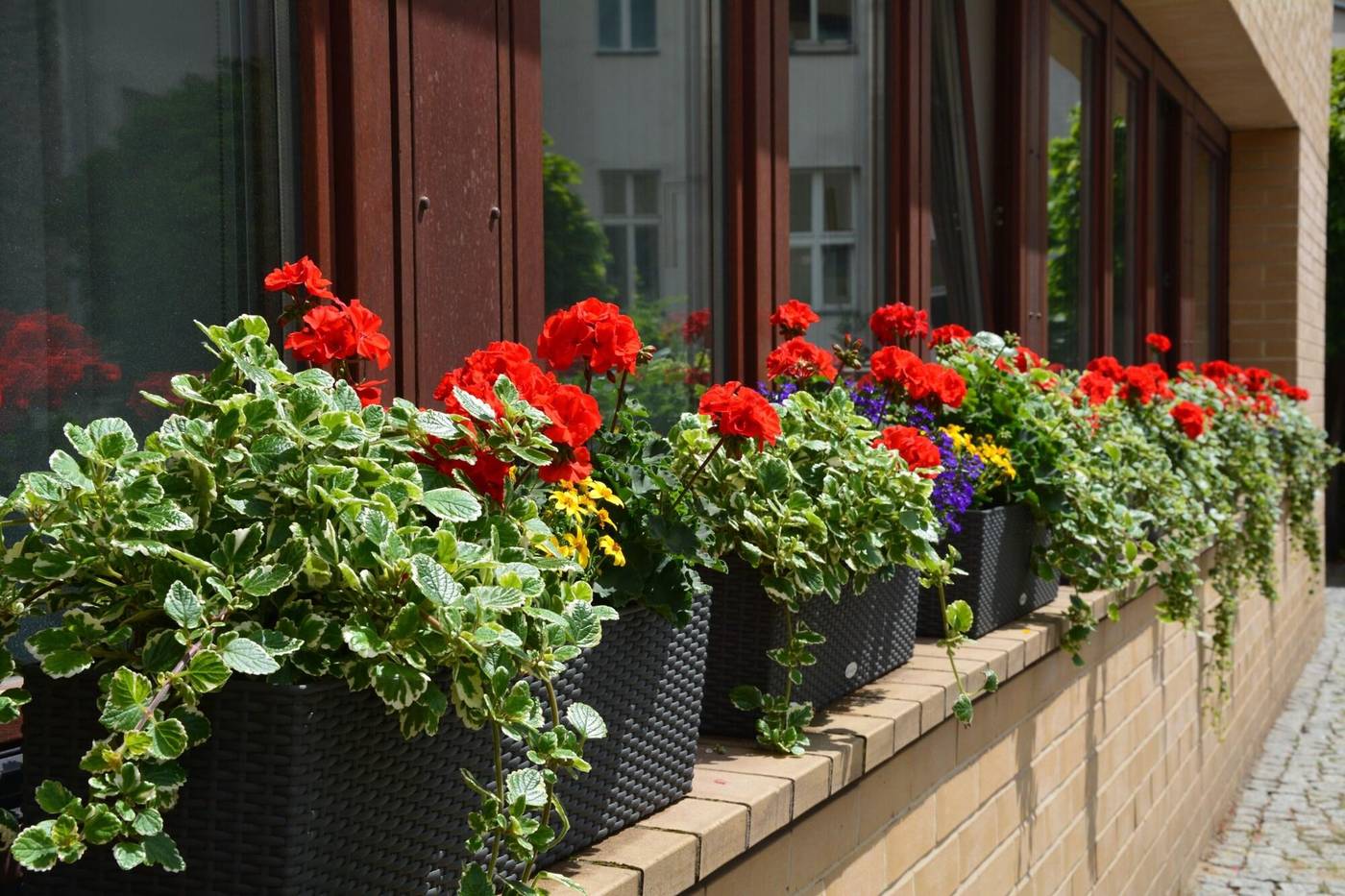 Hotel-Aquino-Berlin-General-view-4