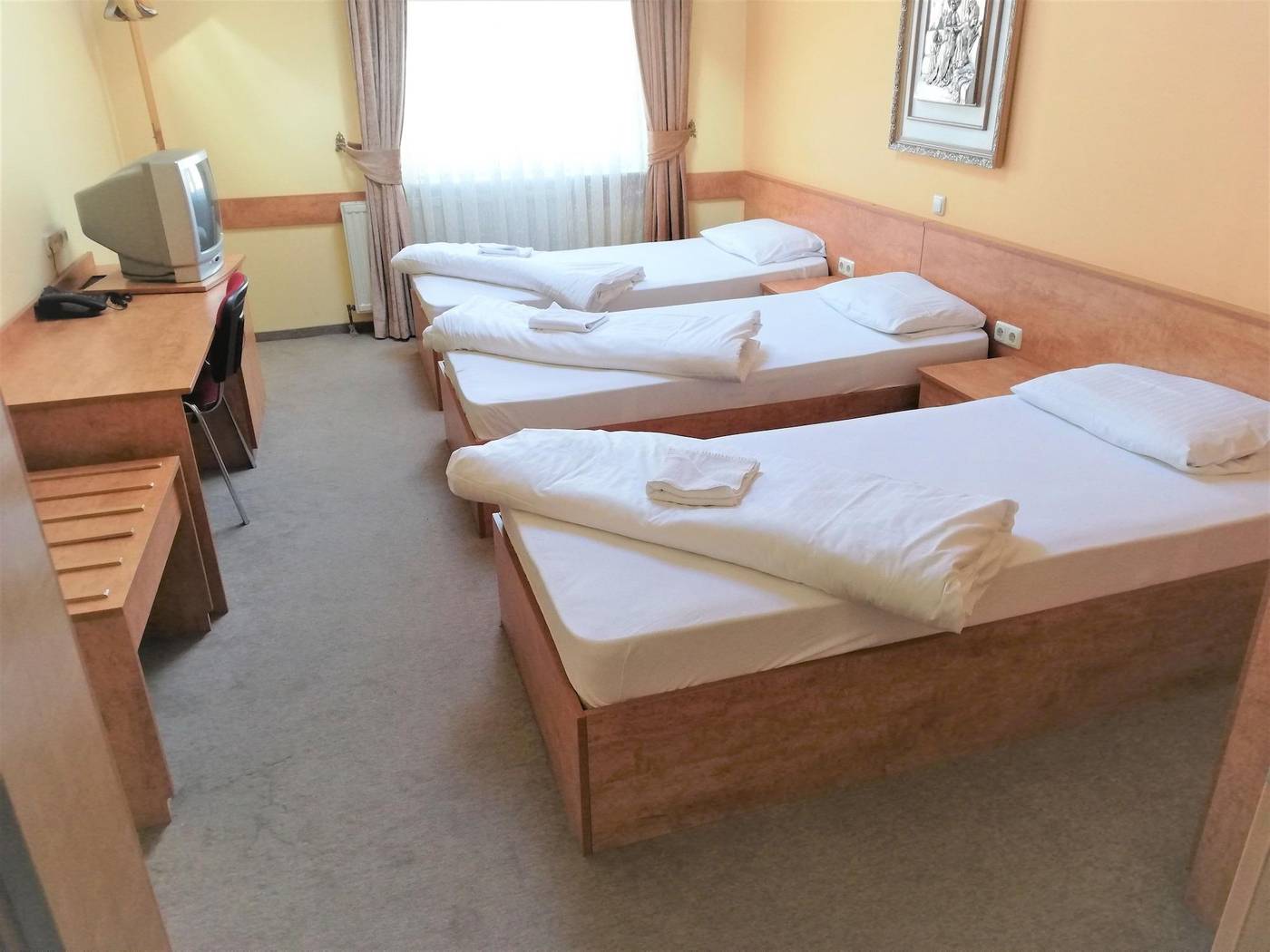 Hotel Global - Germany - MÖRFELDEN-WALLDORF  - Room - 1