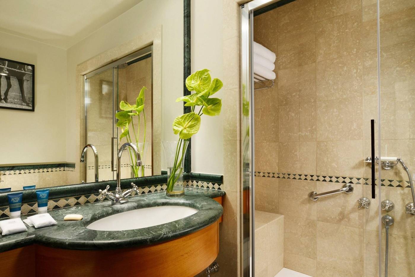 Four-Points-by-Sheraton-Siena-Room-32