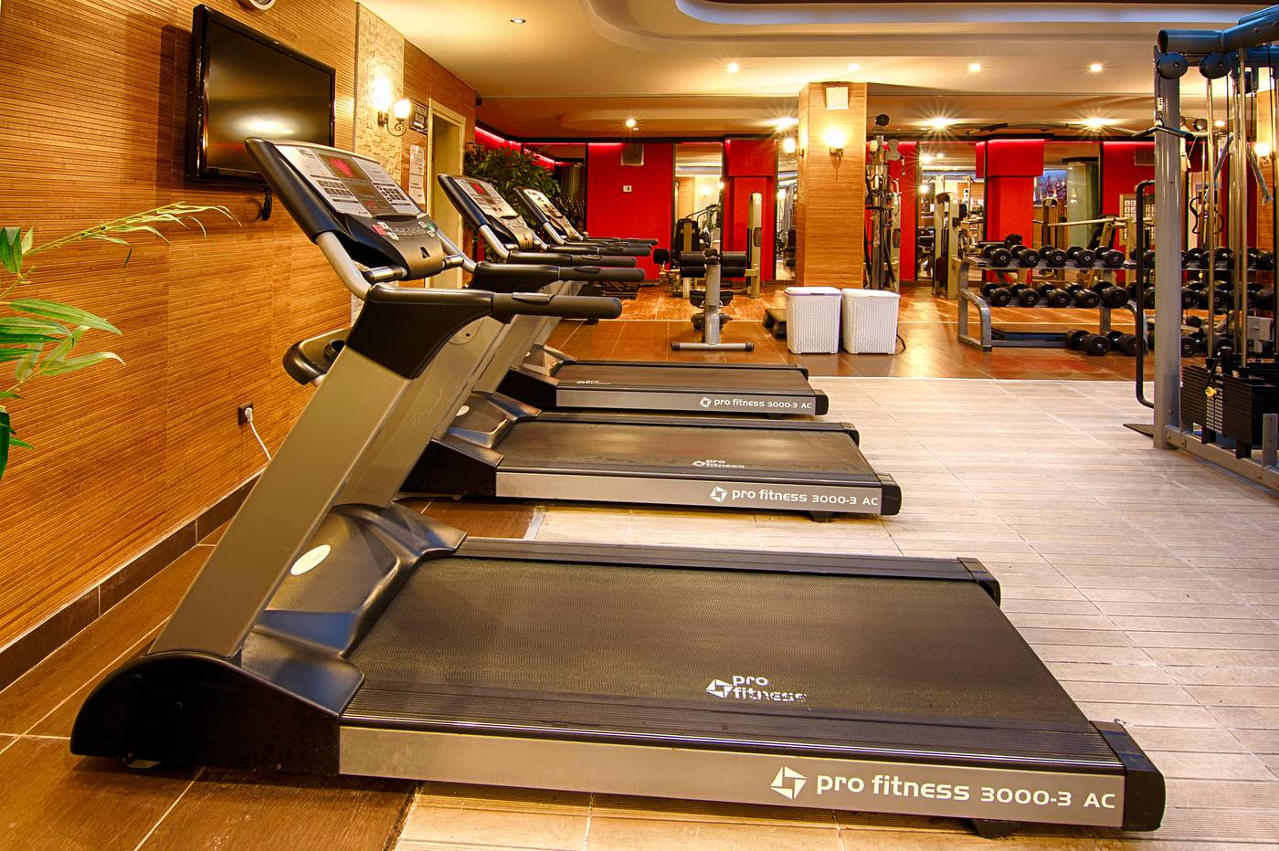 Romance-Beach-Sports-and-Entertainment-61