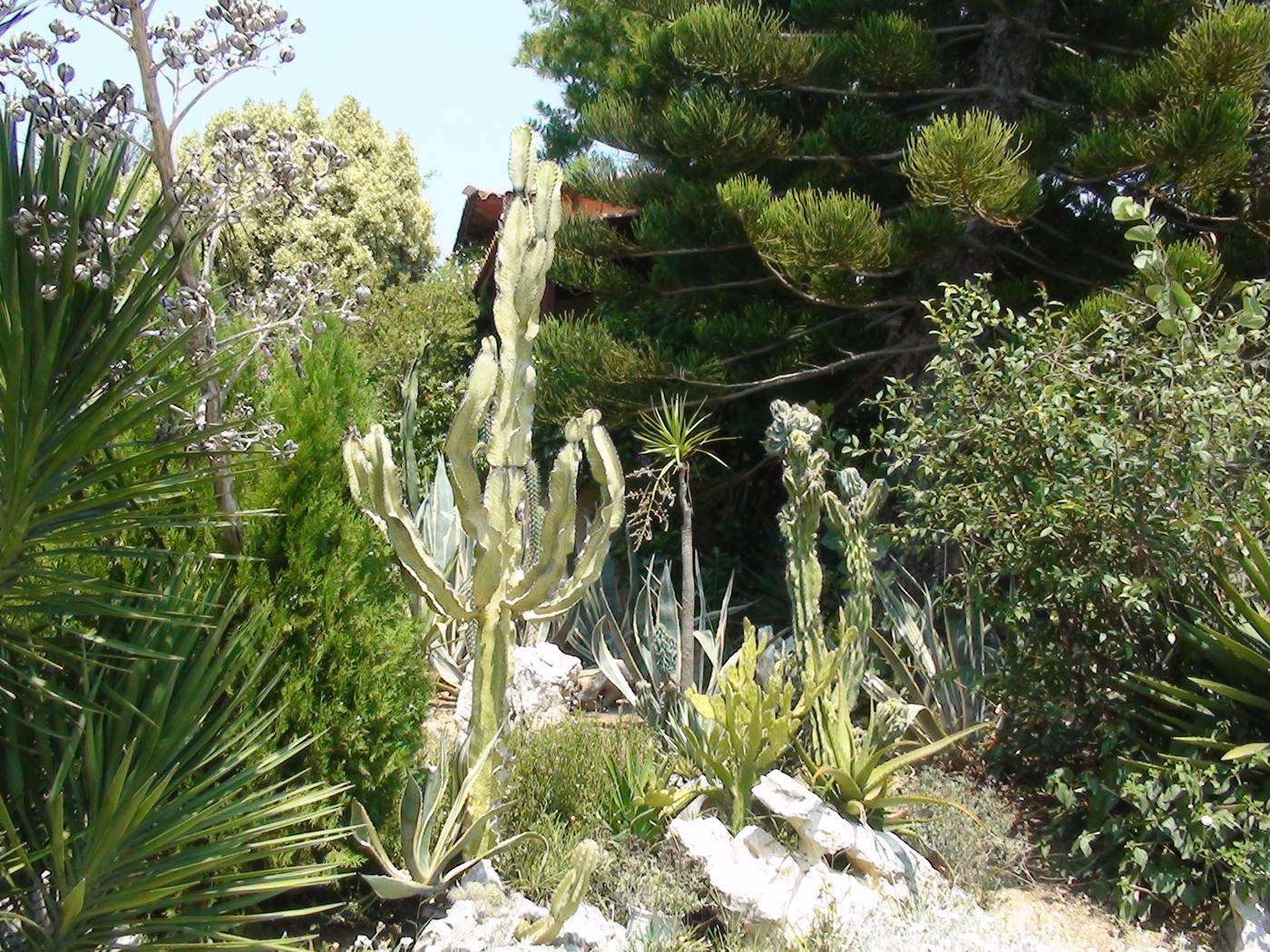 Baha-Ammes-General-view-53