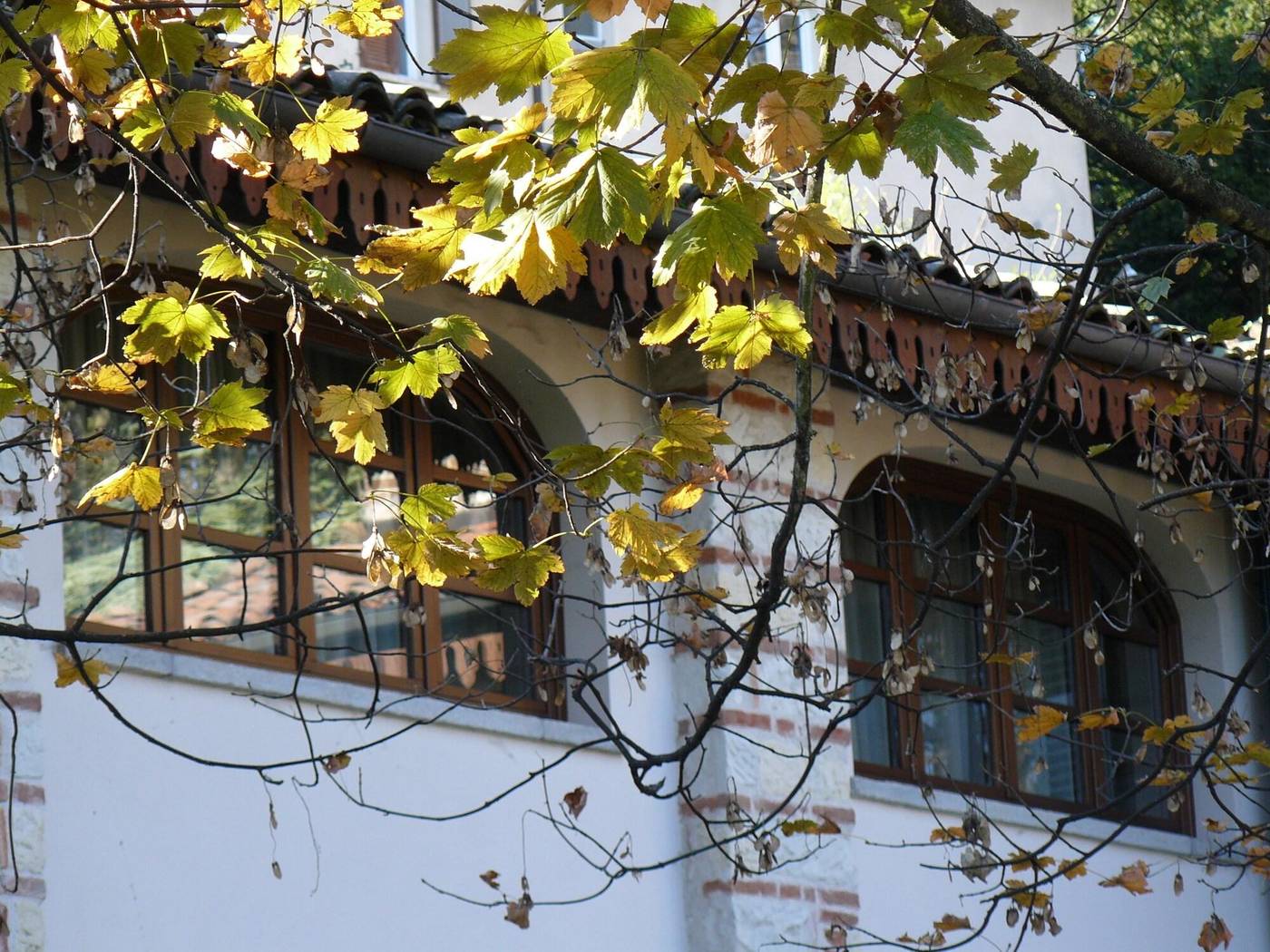 La Corte Delle 4 Stagioni - Italy - OZZANO MONFERRATO - General view - 9