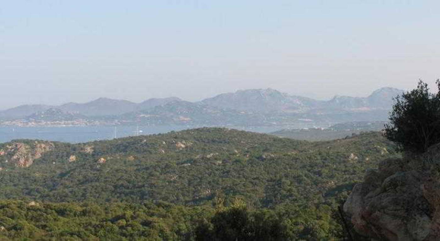 Parco-Degli-Ulivi-General-view-21