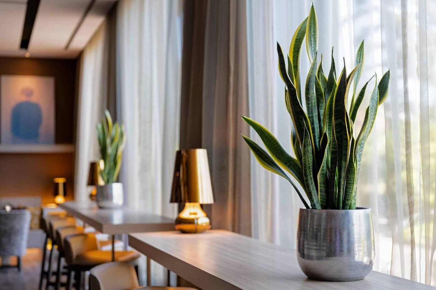 AC-Malaga-Palacio-Lobby-53