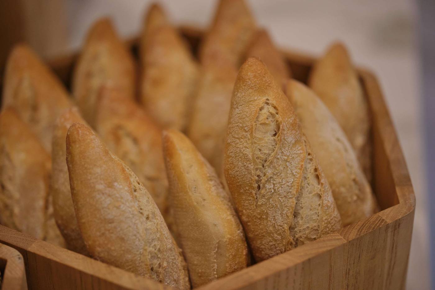 Rafaelhoteles-Ventas-Restaurant-39